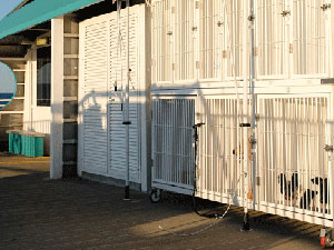 Zona de mascotas del Jaume II, con transportines en cubierta