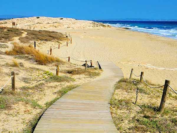 Excursion Palma Formentera